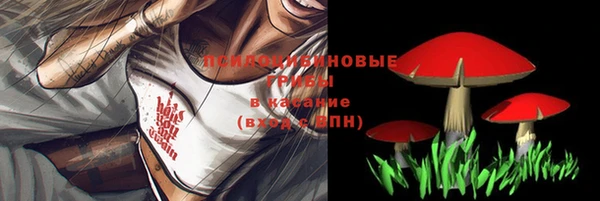 дурь Мегион